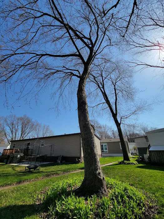 Centennial Square Manufactured Homes Picture 9