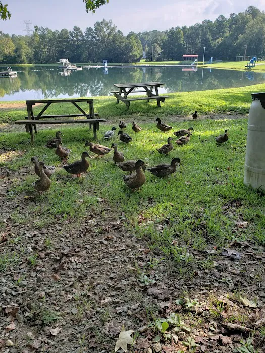 Hidden Lake Campgrounds Picture 9