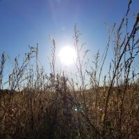 River Bend MHP Inc ico
