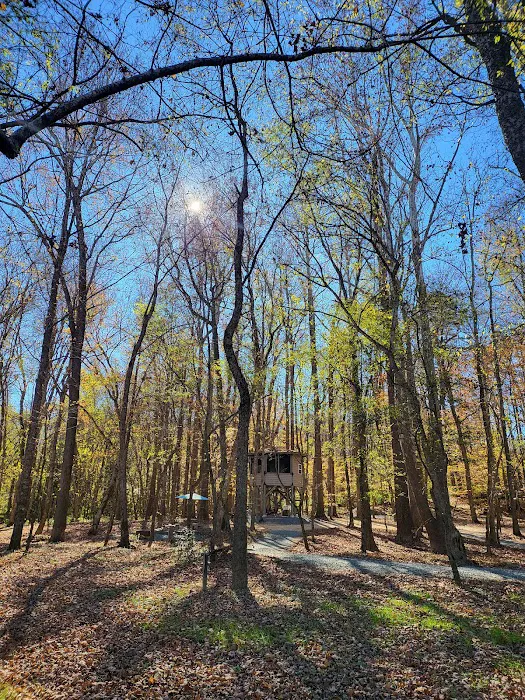 Saxapahaw Campground Picture 10