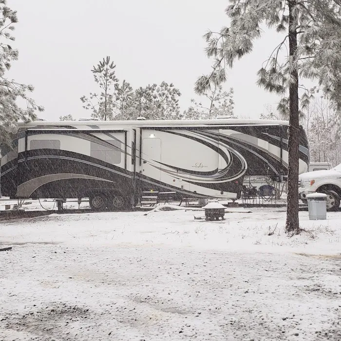 Simple Times RV Park and Campground Picture 8