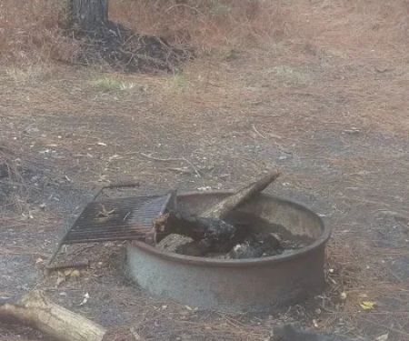 Black Jack Shelter