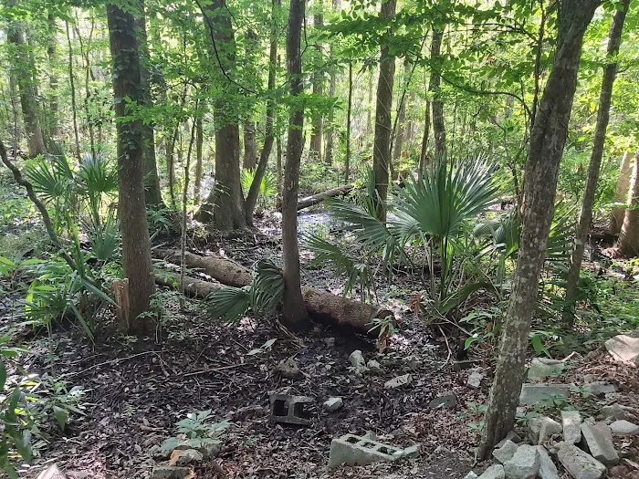 Hawkins Creek Campground Picture 6