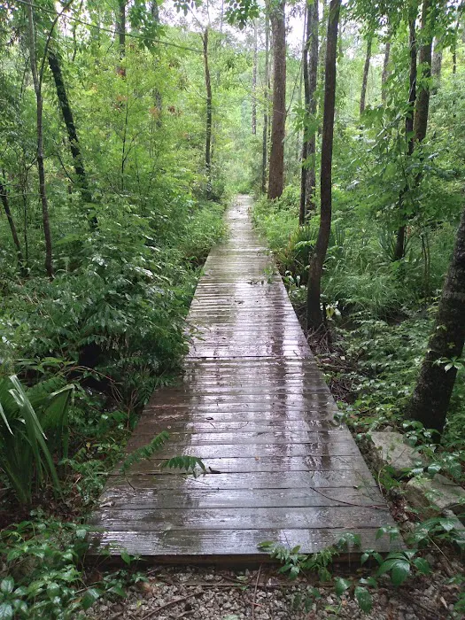 Hawkins Creek Campground Picture 5