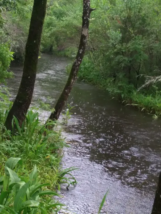 Hawkins Creek Campground Picture 10