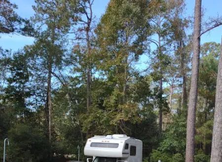 Campsite 29, Cedar Point Campground