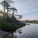 Cedar Point Campground