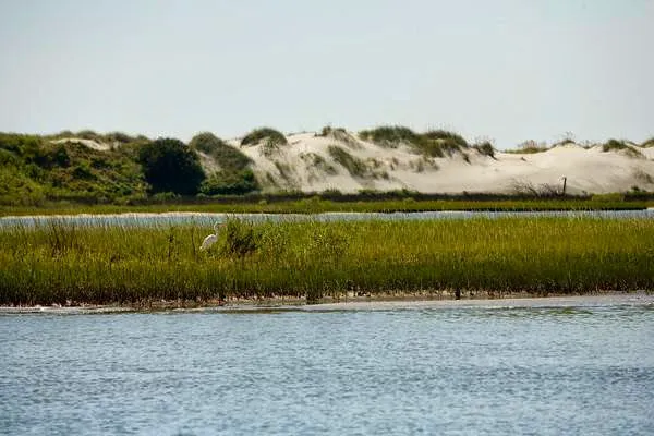 Waterway Campground Picture 4