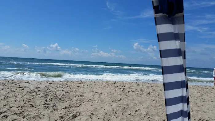Camp Ocean Forest Picture 5