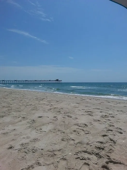 Camp Ocean Forest Picture 8
