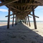 Camp Ocean Forest