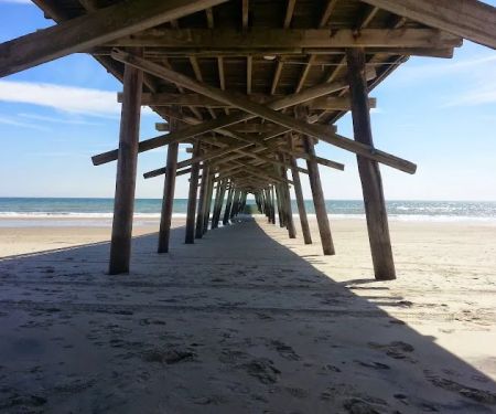 Camp Ocean Forest