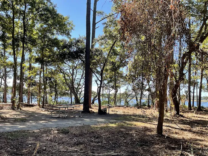 Oyster Point Campground Picture 7
