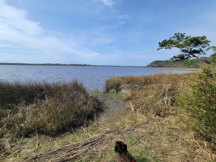 Oyster Point Campground Picture 4