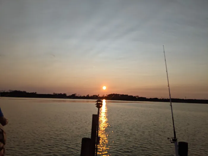 Coastal Carolina Campground Picture 8