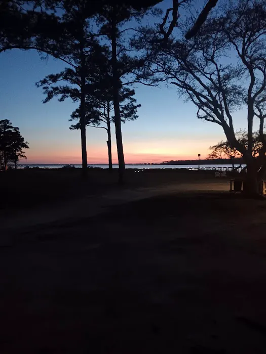 Coastal Carolina Campground Picture 3