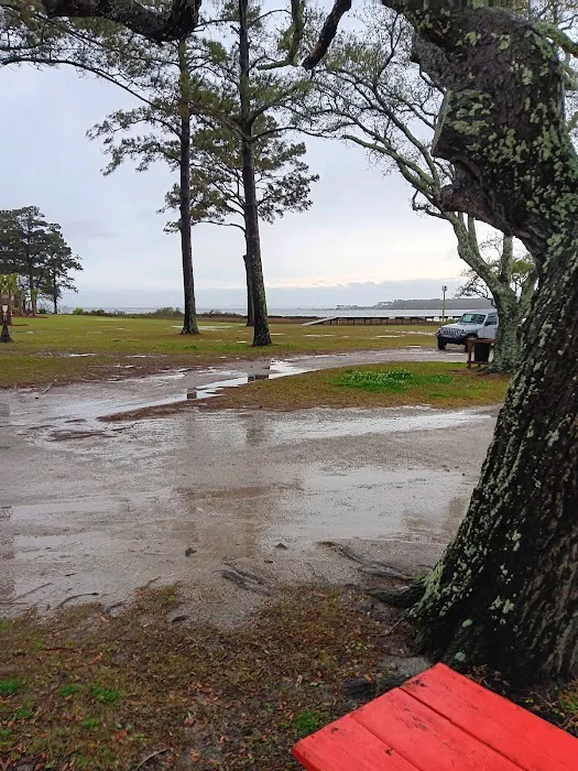 Coastal Carolina Campground Picture 7
