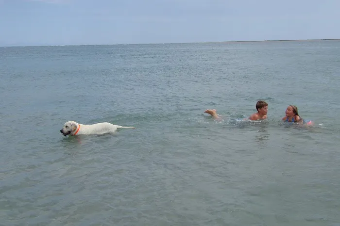 Harkers Island RV Resort & Campground check out our sister park Atlantic RV Resort Picture 10