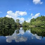Cabin Lake Recreation