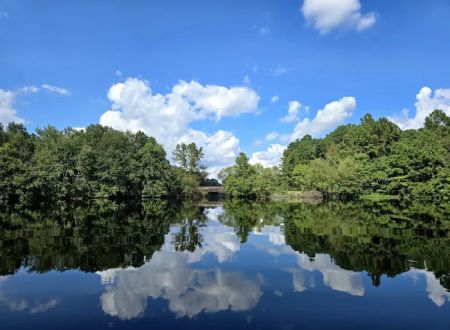 Cabin Lake Recreation