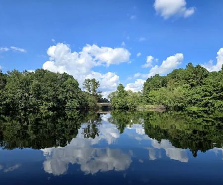 Cabin Lake Recreation