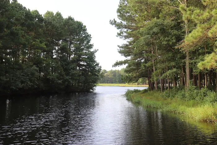 Cabin Lake Recreation Picture 9