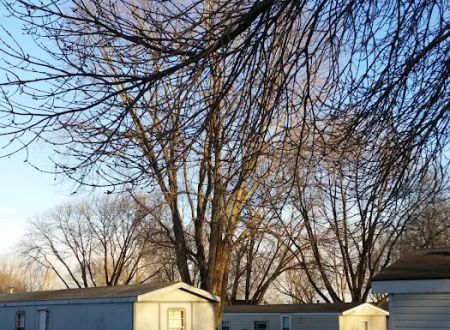Shady Grove Community