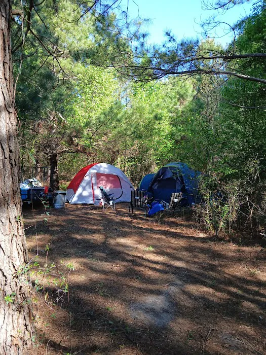 Nick's Nook Family Campground and RV Park Picture 9