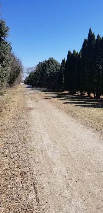 Hammond Estates Picture 2
