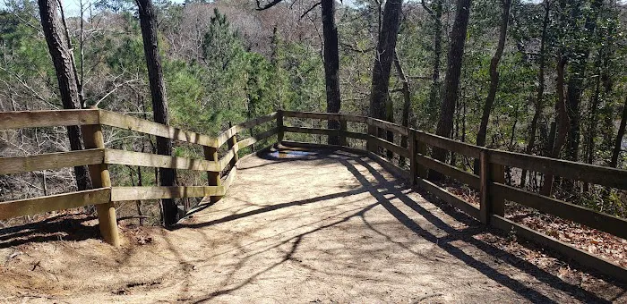 Cliffs of the Neuse campground Picture 8