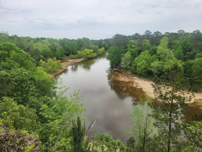 Cliffs of the Neuse campground Picture 4
