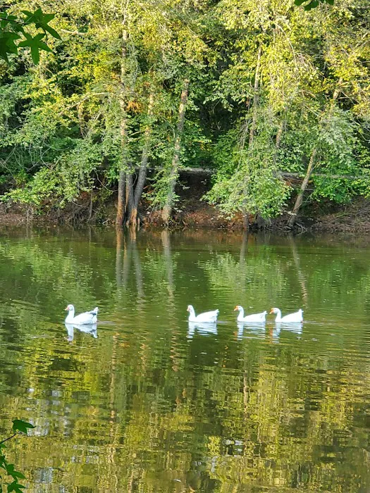 Wooley Swamp Farms Picture 6