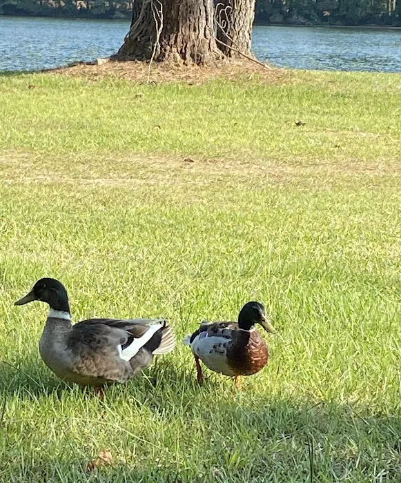 Lake Leamon Picture 10