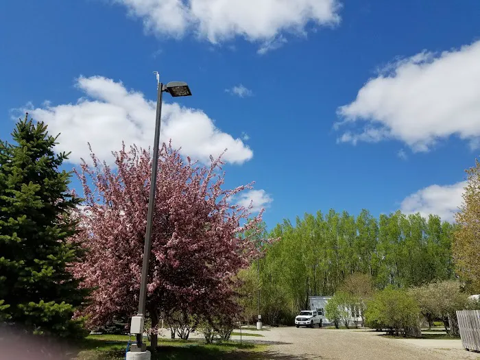 Crystal Springs RV Resort Picture 7