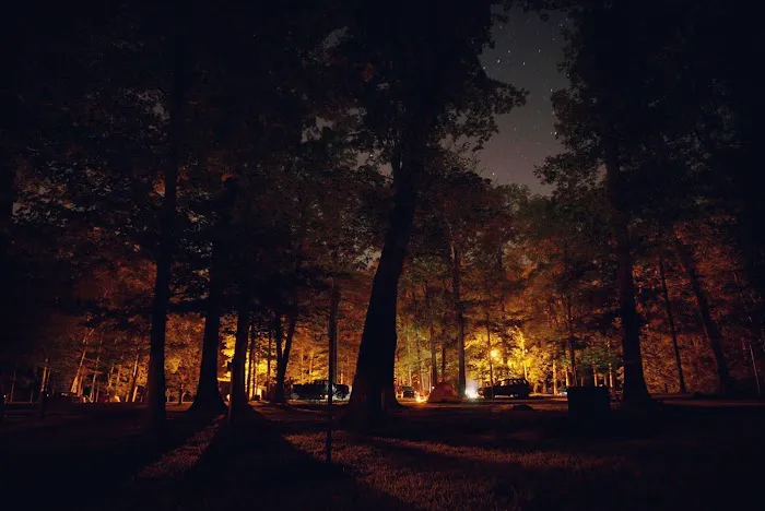 A.W. Marion State Park Campground Picture 6