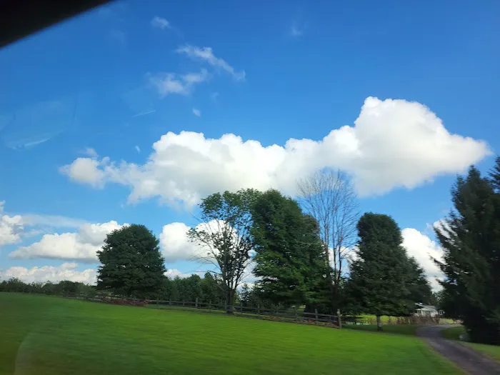 A.W. Marion State Park Campground Picture 7