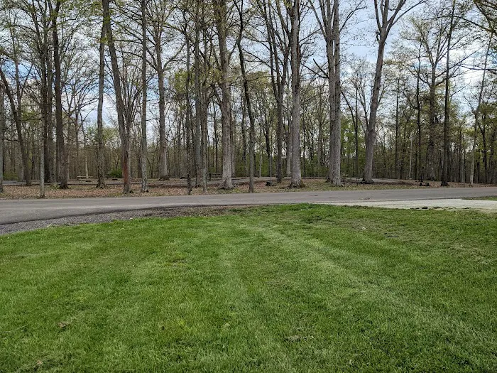 A.W. Marion State Park Campground Picture 4