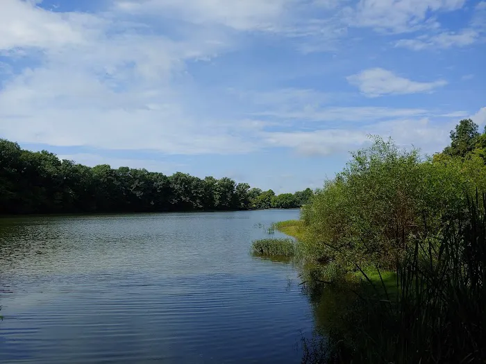 A.W. Marion State Park Campground Picture 2