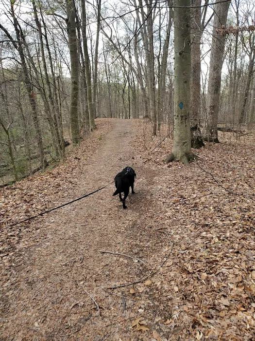 A.W. Marion State Park Campground Picture 9