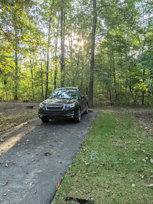 A.W. Marion State Park Campground Picture 10
