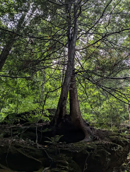 Nature's Way Picture 7
