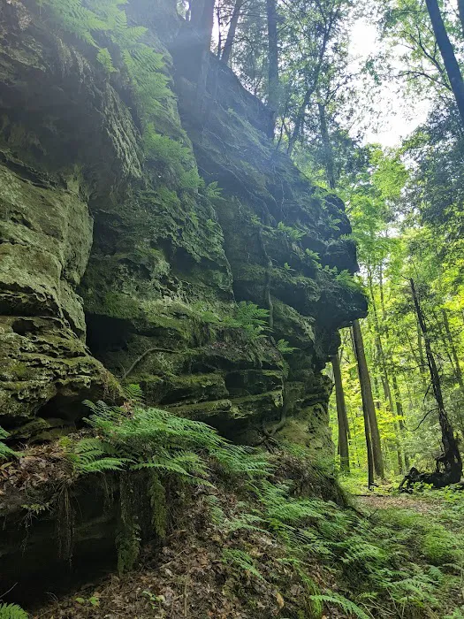 Nature's Way Picture 3