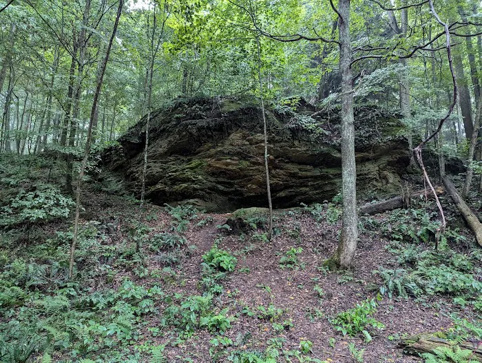 Nature's Way Picture 9