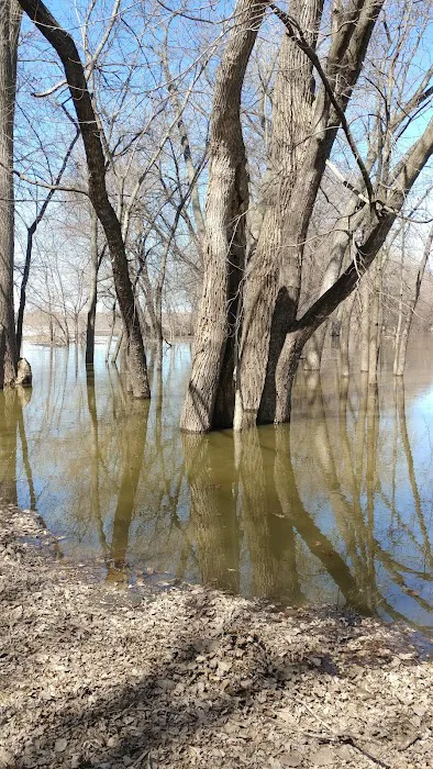 Wills Riverview Campground Picture 4