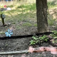 Hidden Lake Gems Camping Spot Located in Mt. Gilead Ohio ico
