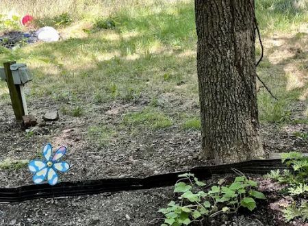 Hidden Lake Gems Camping Spot Located in Mt. Gilead Ohio