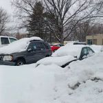 Park of Four Seasons