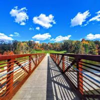 Mt. Gilead State Park Campground ico