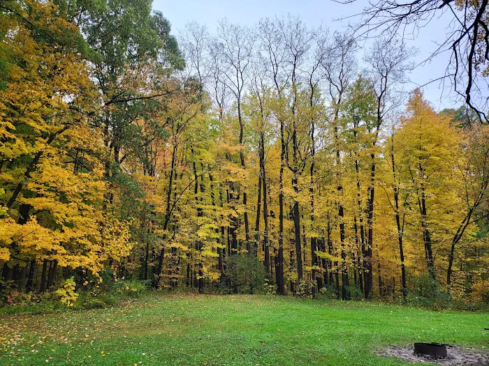 Mt. Gilead State Park Campground Picture 4