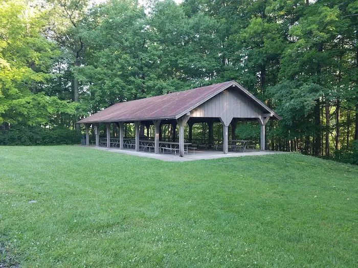 Mt. Gilead State Park Campground Picture 8